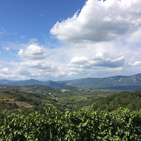 Kraljic - Primoz Cotar Bed & Breakfast Dornberk Luaran gambar